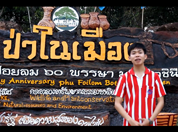 ของดีที่หนองแสง